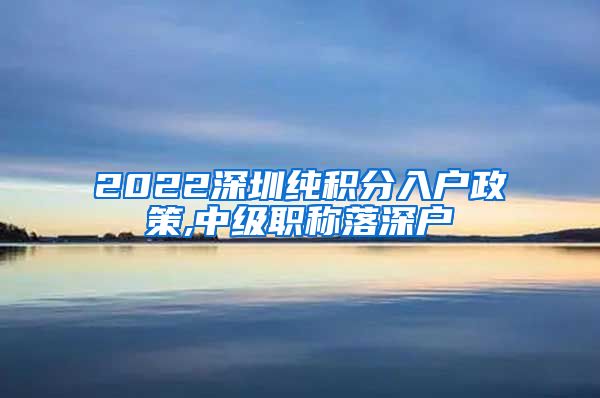 2022深圳纯积分入户政策,中级职称落深户