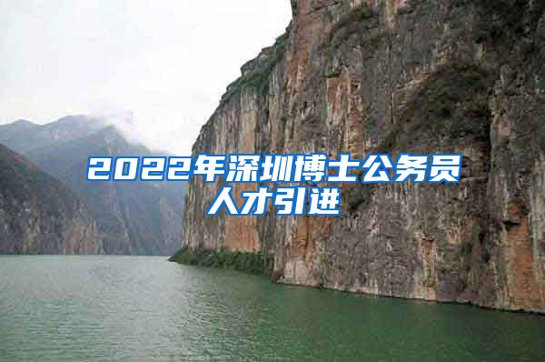 2022年深圳博士公务员人才引进