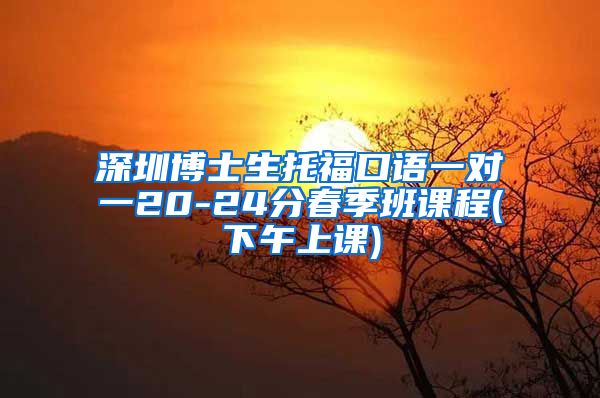深圳博士生托福口语一对一20-24分春季班课程(下午上课)