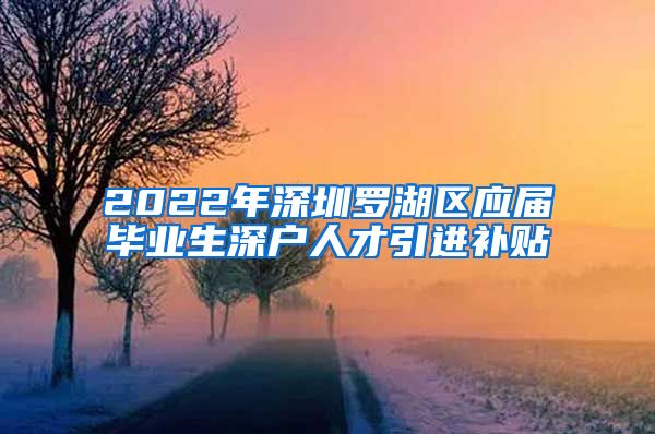 2022年深圳罗湖区应届毕业生深户人才引进补贴