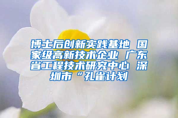 博士后创新实践基地 国家级高新技术企业 广东省工程技术研究中心 深圳市“孔雀计划