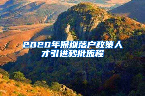 2020年深圳落户政策人才引进秒批流程