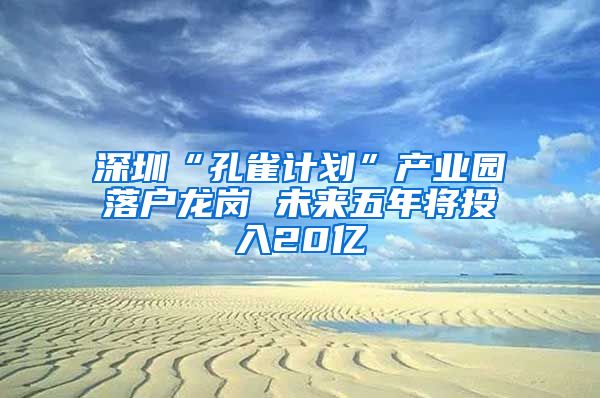 深圳“孔雀计划”产业园落户龙岗 未来五年将投入20亿