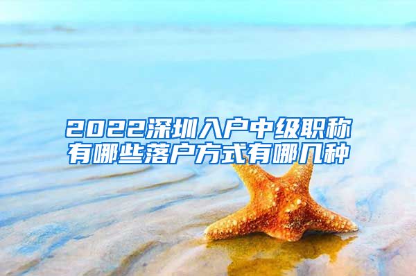 2022深圳入户中级职称有哪些落户方式有哪几种