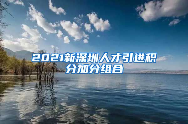 2021新深圳人才引进积分加分组合