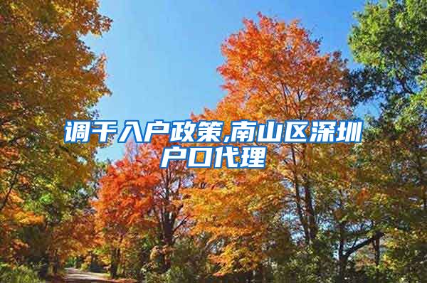 调干入户政策,南山区深圳户口代理