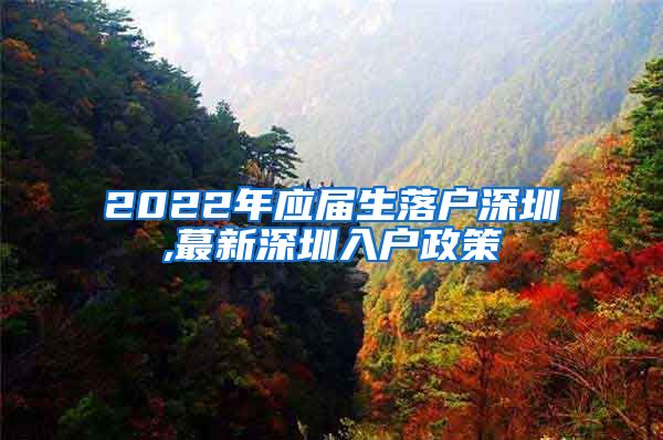 2022年应届生落户深圳,蕞新深圳入户政策