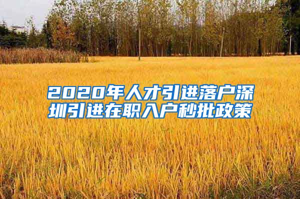 2020年人才引进落户深圳引进在职入户秒批政策