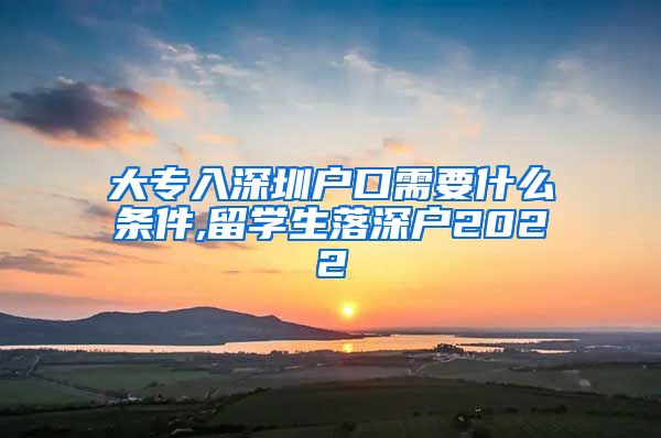大专入深圳户口需要什么条件,留学生落深户2022