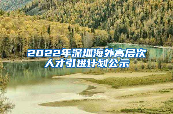 2022年深圳海外高层次人才引进计划公示