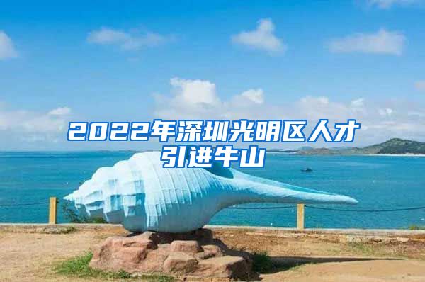 2022年深圳光明区人才引进牛山