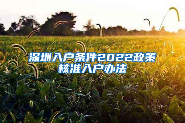 深圳入户条件2022政策核准入户办法