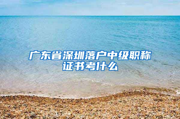 广东省深圳落户中级职称证书考什么