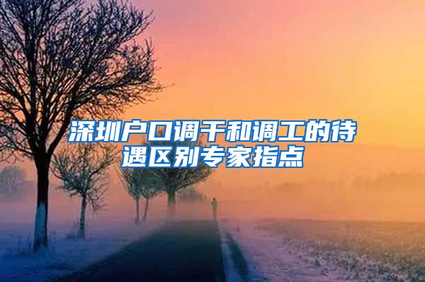 深圳户口调干和调工的待遇区别专家指点