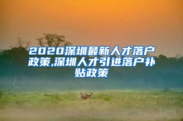 2020深圳最新人才落户政策,深圳人才引进落户补贴政策