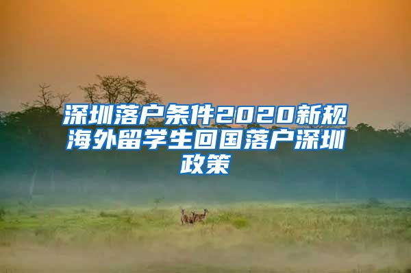 深圳落户条件2020新规海外留学生回国落户深圳政策
