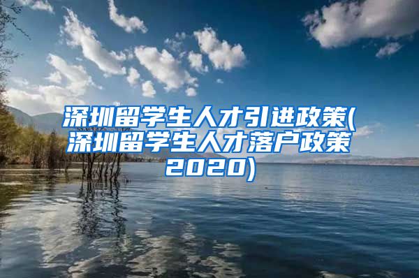 深圳留学生人才引进政策(深圳留学生人才落户政策2020)