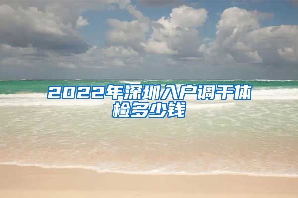 2022年深圳入户调干体检多少钱