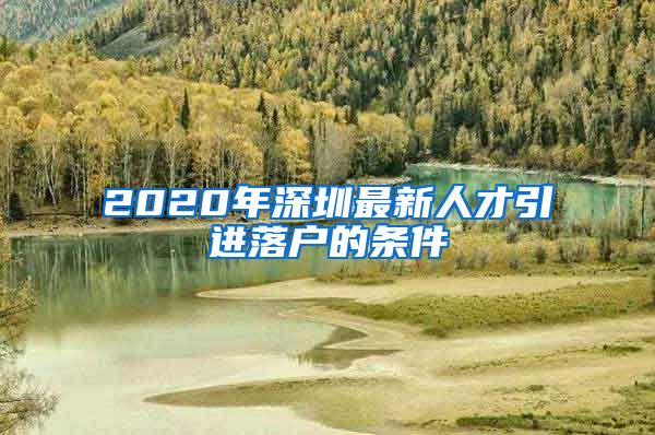 2020年深圳最新人才引进落户的条件
