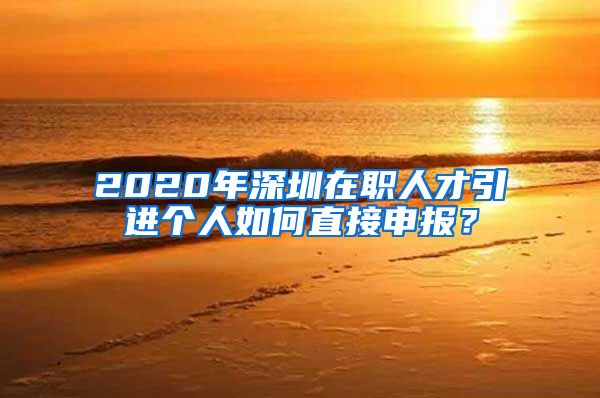 2020年深圳在职人才引进个人如何直接申报？