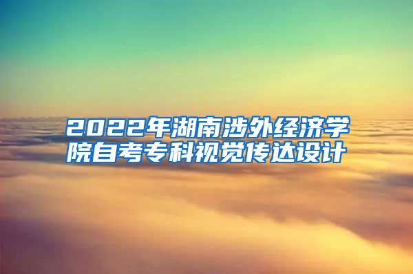 2022年湖南涉外经济学院自考专科视觉传达设计