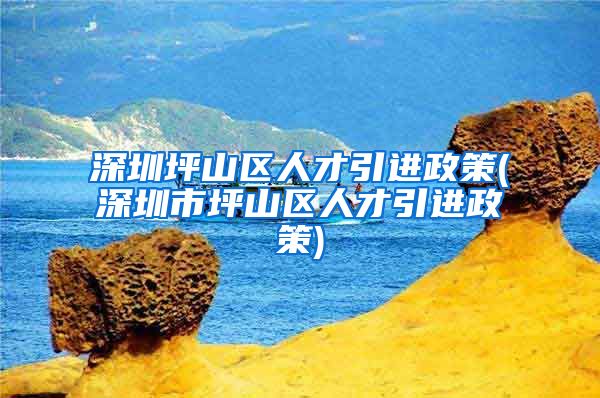 深圳坪山区人才引进政策(深圳市坪山区人才引进政策)