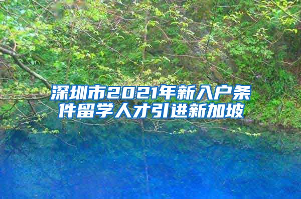 深圳市2021年新入户条件留学人才引进新加坡