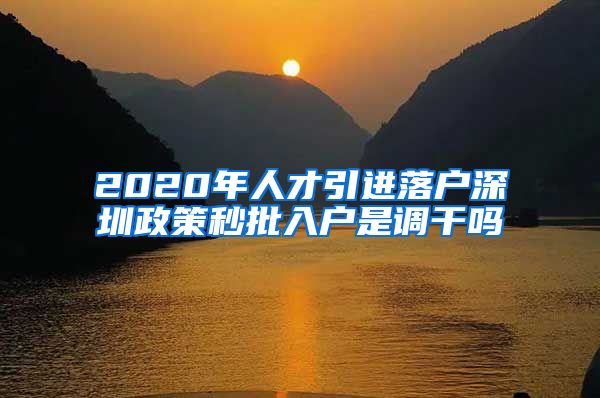 2020年人才引进落户深圳政策秒批入户是调干吗