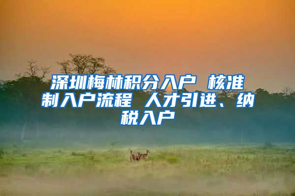深圳梅林积分入户 核准制入户流程 人才引进、纳税入户