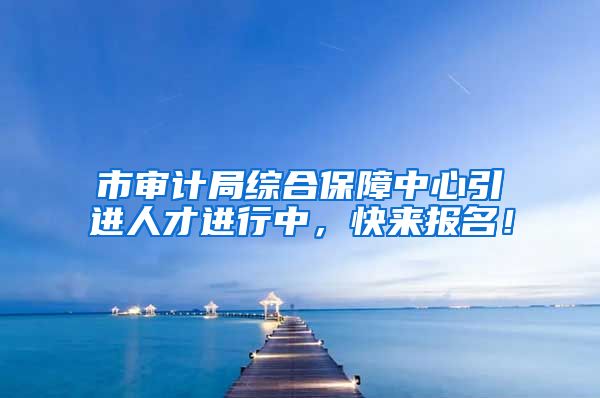 市审计局综合保障中心引进人才进行中，快来报名！