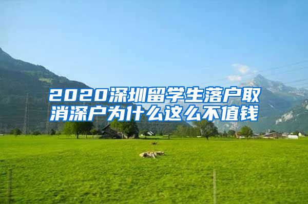 2020深圳留学生落户取消深户为什么这么不值钱