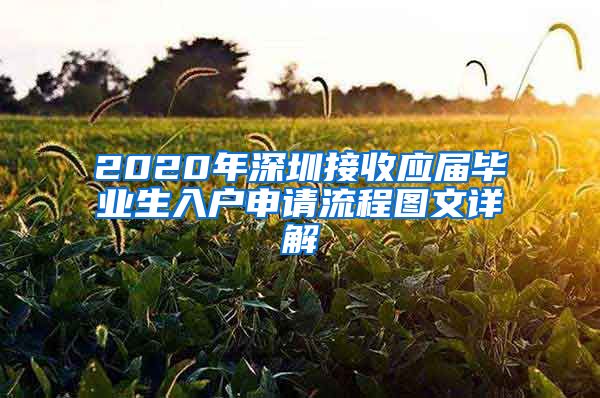 2020年深圳接收应届毕业生入户申请流程图文详解