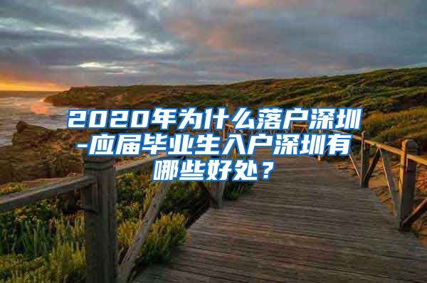 2020年为什么落户深圳-应届毕业生入户深圳有哪些好处？