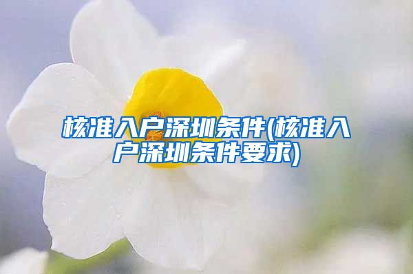 核准入户深圳条件(核准入户深圳条件要求)