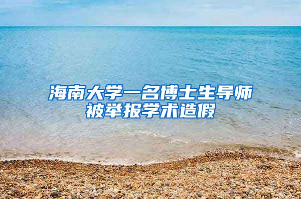 海南大学一名博士生导师被举报学术造假