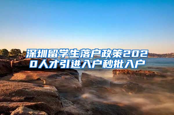 深圳留学生落户政策2020人才引进入户秒批入户