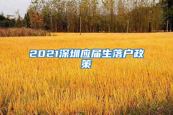 2021深圳应届生落户政策