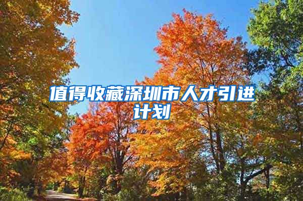 值得收藏深圳市人才引进计划