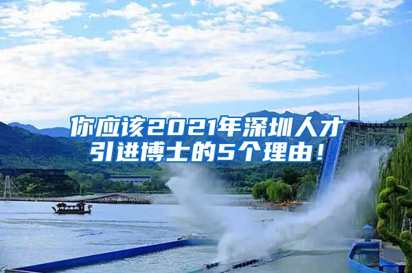 你应该2021年深圳人才引进博士的5个理由！