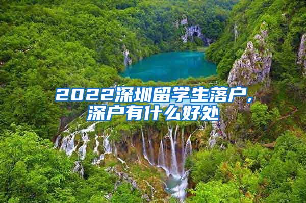 2022深圳留学生落户,深户有什么好处