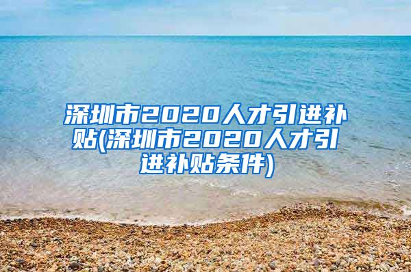 深圳市2020人才引进补贴(深圳市2020人才引进补贴条件)