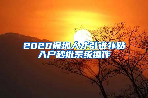 2020深圳人才引进补贴入户秒批系统操作