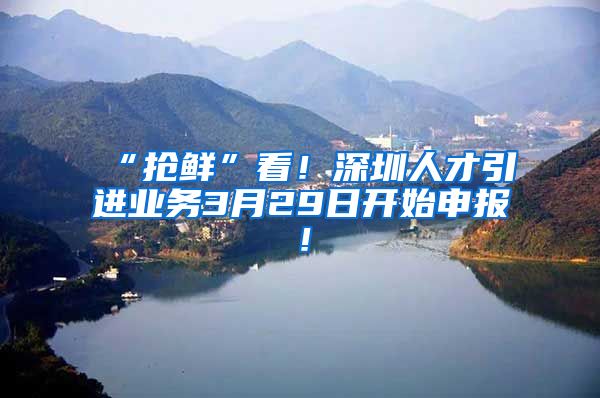 “抢鲜”看！深圳人才引进业务3月29日开始申报！