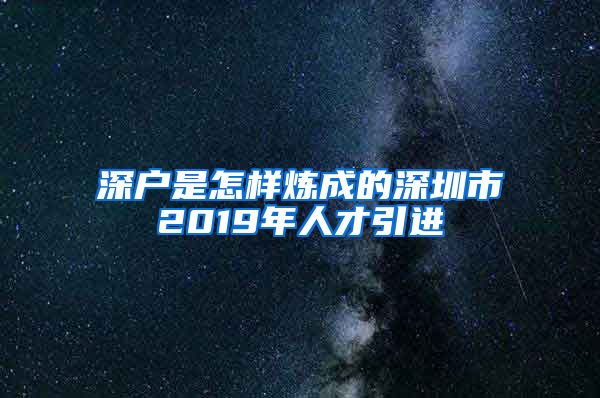 深户是怎样炼成的深圳市2019年人才引进