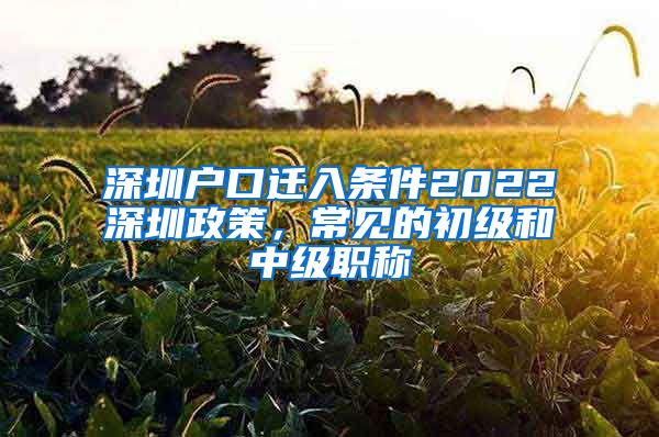 深圳户口迁入条件2022深圳政策，常见的初级和中级职称