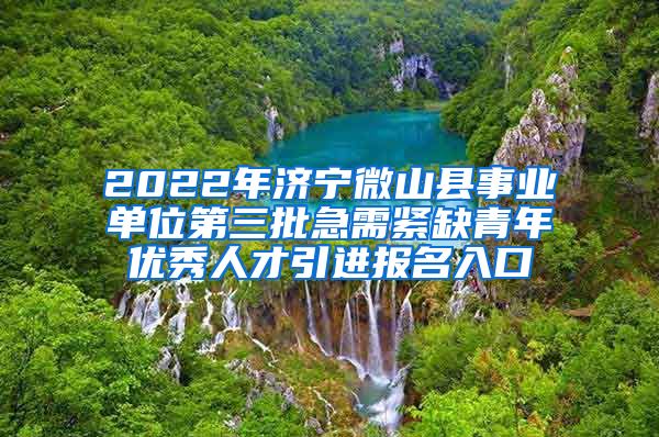 2022年济宁微山县事业单位第三批急需紧缺青年优秀人才引进报名入口