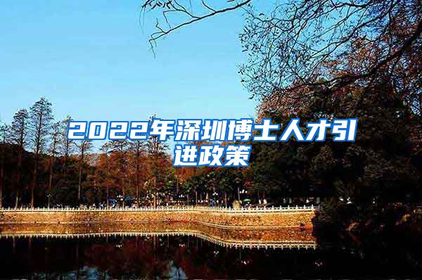 2022年深圳博士人才引进政策