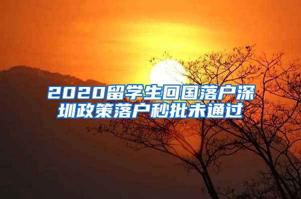 2020留学生回国落户深圳政策落户秒批未通过