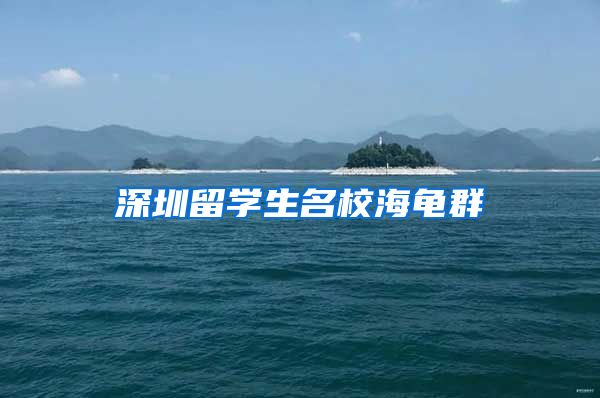 深圳留学生名校海龟群