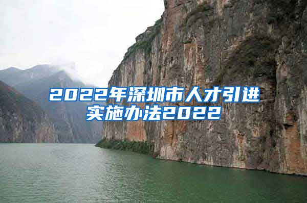 2022年深圳市人才引进实施办法2022